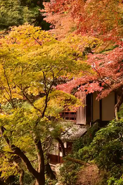 柳谷観音 楊谷寺(京都府)
