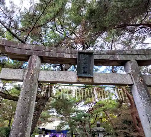 篠山神社の鳥居