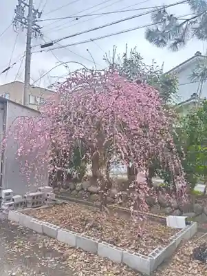 加納天満宮(岐阜県)