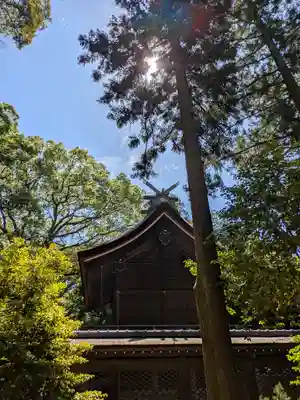 伊弉諾神宮(兵庫県)