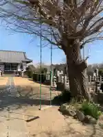 法福寺(千葉県)