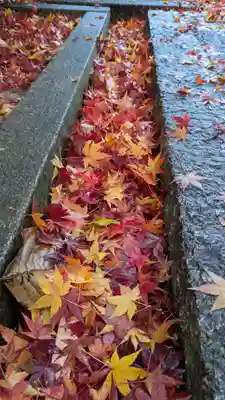 真宗院(京都府)