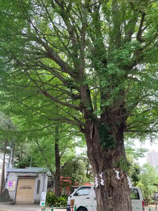 鳩森八幡神社(東京都)