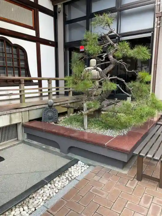 妙清寺の{uncategorized: "未分類", other: "その他", undefined: "問題あり", building: "その他建物", grave: "お墓", sacred_gate: "鳥居", guardian: "狛犬", statue: "像", buddha: "仏像", history: "歴史", nature: "自然", garden: "庭園", animal: "動物", pagoda: "塔", temizu: "手水舎", mountain_gate: "山門・神門", sanctuary: "本殿・本堂", subordinate: "末社・摂社", art: "芸術", scenery: "景色", jizo: "地蔵", ema: "絵馬", goshuin: "御朱印", omikuji: "おみくじ", items: "授与品その他", amulet: "お守り", goshuincho: "御朱印帳", eats: "食事", festival: "お祭り", votive_dance: "神楽", shichigosan: "七五三参", wedding: "結婚式", experience: "体験その他", initially: "初詣", around: "周辺", anti_infection: "感染症対策"}