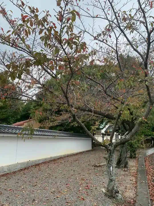 彌都加伎神社(三重県)
