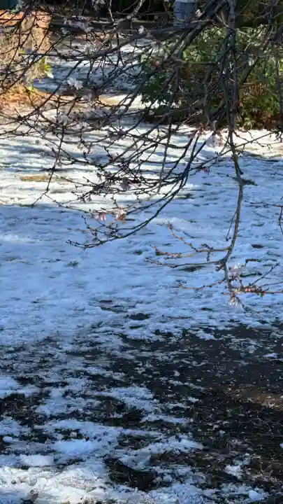 清水観音堂(東京都)