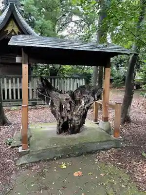 八雲氷川神社(東京都)