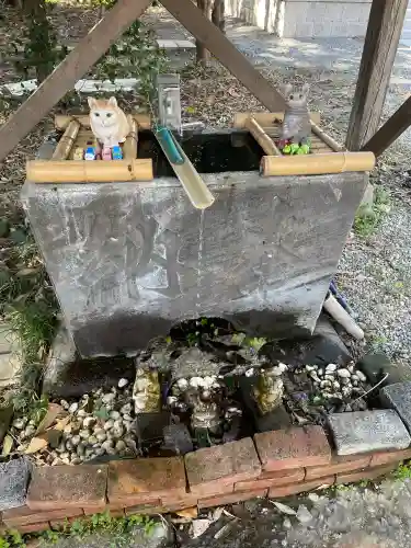 網戸神社の{uncategorized: "未分類", other: "その他", undefined: "問題あり", building: "その他建物", grave: "お墓", sacred_gate: "鳥居", guardian: "狛犬", statue: "像", buddha: "仏像", history: "歴史", nature: "自然", garden: "庭園", animal: "動物", pagoda: "塔", temizu: "手水舎", mountain_gate: "山門・神門", sanctuary: "本殿・本堂", subordinate: "末社・摂社", art: "芸術", scenery: "景色", jizo: "地蔵", ema: "絵馬", goshuin: "御朱印", omikuji: "おみくじ", items: "授与品その他", amulet: "お守り", goshuincho: "御朱印帳", eats: "食事", festival: "お祭り", votive_dance: "神楽", shichigosan: "七五三参", wedding: "結婚式", experience: "体験その他", initially: "初詣", around: "周辺", anti_infection: "感染症対策"}