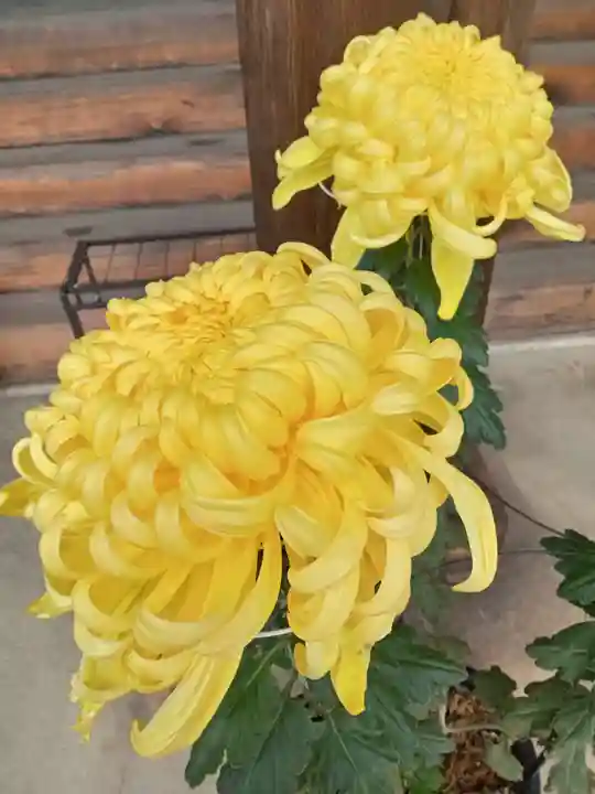 法華寺(奈良県)