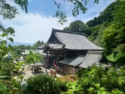 岡寺(龍蓋寺)(奈良県)