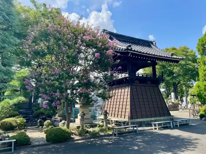 泉沢寺(神奈川県)
