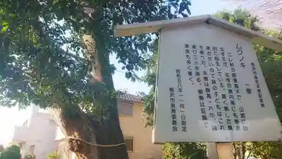 八幡社(大塚八幡社)の自然