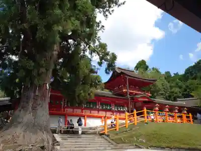 春日大社のその他建物