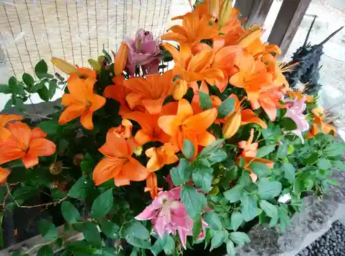 彌彦神社　(伊夜日子神社)の手水舎
