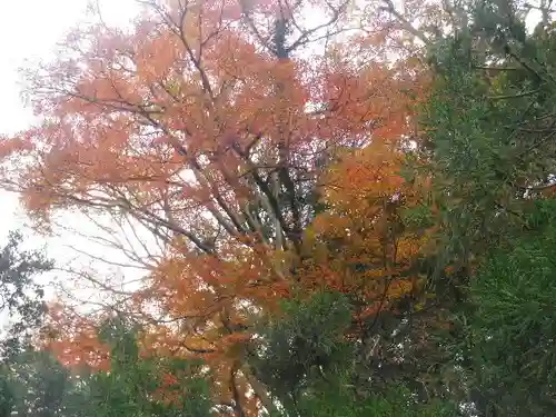 理智光寺跡（理智光寺址）＜史跡＞の景色