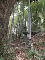 稲荷神社(千葉県)