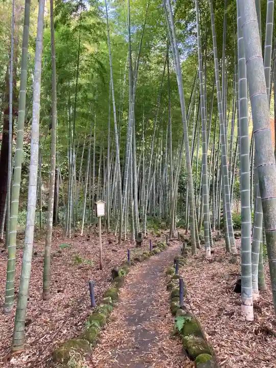 英勝寺(神奈川県)