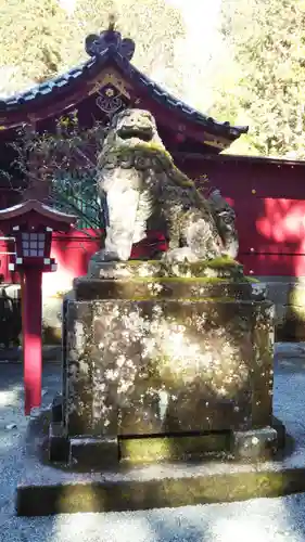 箱根神社の狛犬