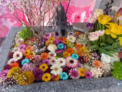 花手水凄く心癒されました✨