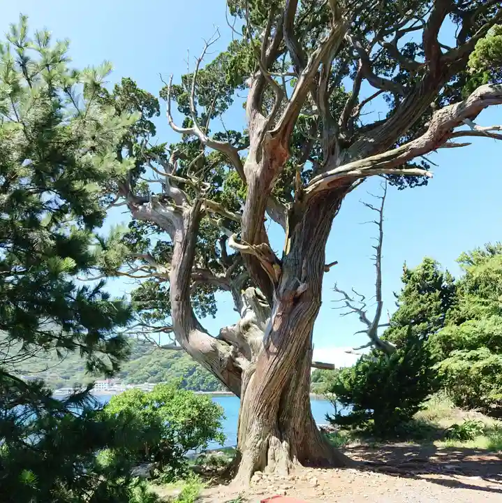 大瀬神社の自然