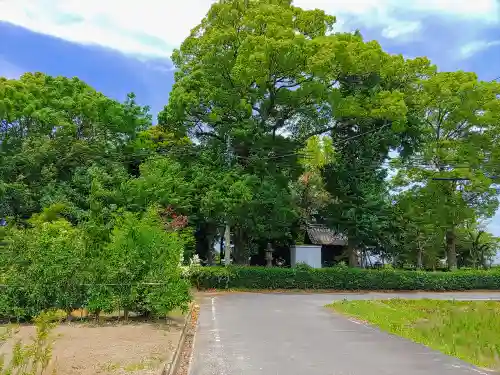 白山社（千代）の自然