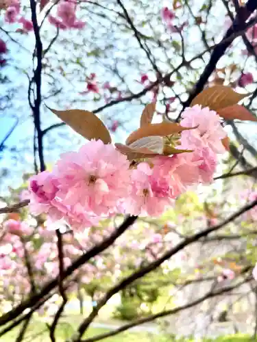 蚊里田八幡宮の{uncategorized: "未分類", other: "その他", undefined: "問題あり", building: "その他建物", grave: "お墓", sacred_gate: "鳥居", guardian: "狛犬", statue: "像", buddha: "仏像", history: "歴史", nature: "自然", garden: "庭園", animal: "動物", pagoda: "塔", temizu: "手水舎", mountain_gate: "山門・神門", sanctuary: "本殿・本堂", subordinate: "末社・摂社", art: "芸術", scenery: "景色", jizo: "地蔵", ema: "絵馬", goshuin: "御朱印", omikuji: "おみくじ", items: "授与品その他", amulet: "お守り", goshuincho: "御朱印帳", eats: "食事", festival: "お祭り", votive_dance: "神楽", shichigosan: "七五三参", wedding: "結婚式", experience: "体験その他", initially: "初詣", around: "周辺", anti_infection: "感染症対策"}