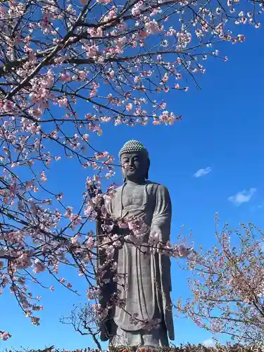 東本願寺本廟 牛久浄苑（牛久大仏）の仏像