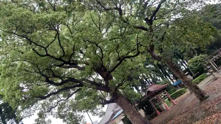 諏訪神社(愛知県)
