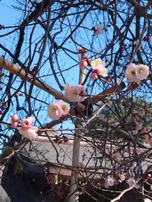 亀ケ池八幡宮(神奈川県)
