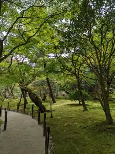 慈照寺（慈照禅寺・銀閣寺）(京都府)