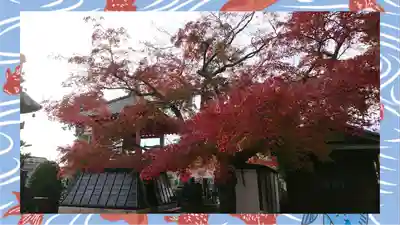 大蔵院(群馬県)