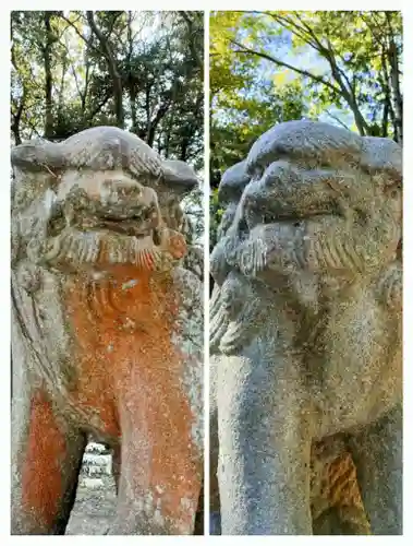 諏訪八幡神社の狛犬