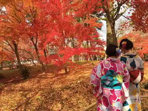 禅林寺（永観堂）の自然