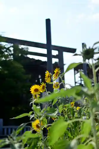 伊勢山皇大神宮(神奈川県)