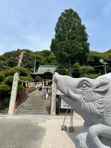 足立山妙見宮の狛犬