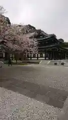 長谷寺の本殿