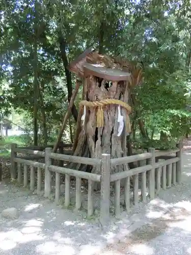 賀茂御祖神社（下鴨神社）の自然