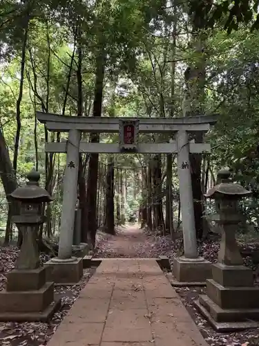 白幡神社(千葉県)