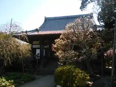 宝戒寺の本殿・本堂