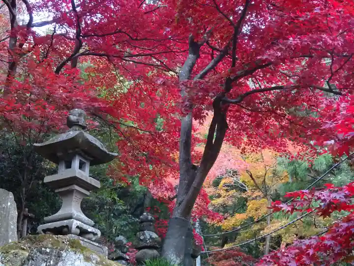 大山寺(神奈川県)