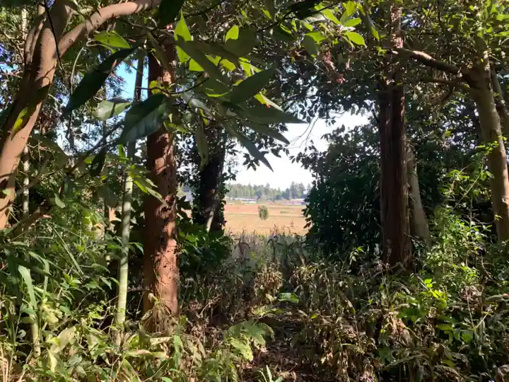 麻賀多神社(千葉県)