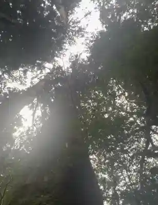 箱根神社(神奈川県)