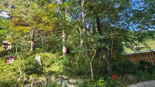 大善寺(山梨県)