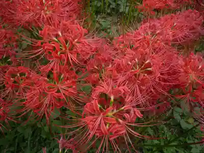 金刀比羅神社の周辺