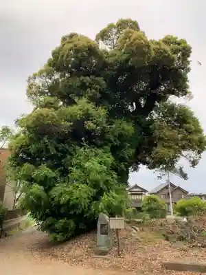 万福寺(千葉県)