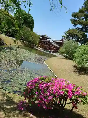 平等院のその他建物