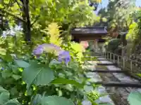 本興寺(石川県)