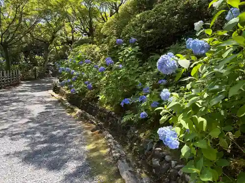 東福禅寺（東福寺）(京都府)