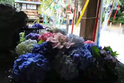 滑川神社 - 仕事と子どもの守り神の手水舎