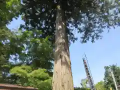 観音正寺(滋賀県)